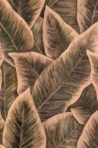 Bird Of Paradise — Blush