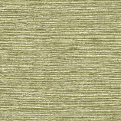 Vinyl Arrowroot