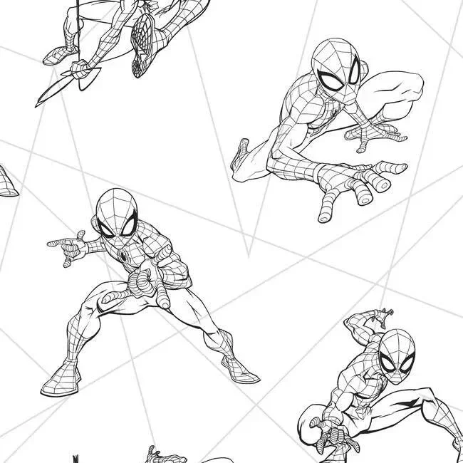 Spider-man Fracture