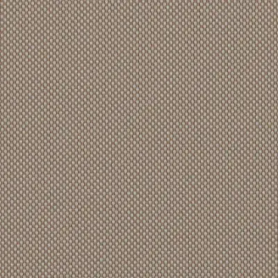 ROBBEN TAUPE