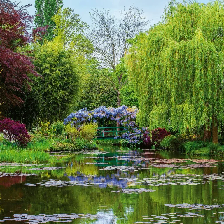 Monet’s Garden In France - Wall Mural 5035 - 8 Panel - 384cm x 260cm — Ảnh 4