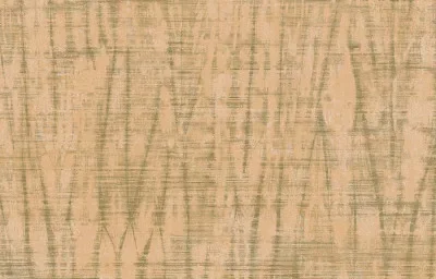 SPIGA — Ảnh 5
