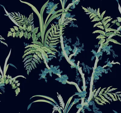 Wild Ferns A00026-01