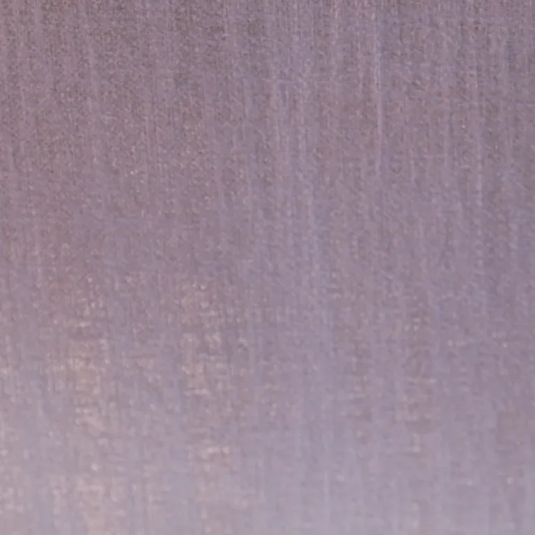 Vega RM 613 55