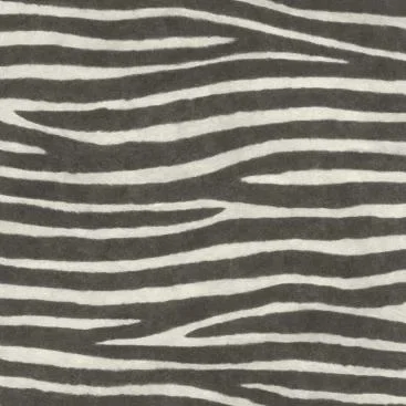 Watch Out for the Zebra Stripes! 751727 — Ảnh 2