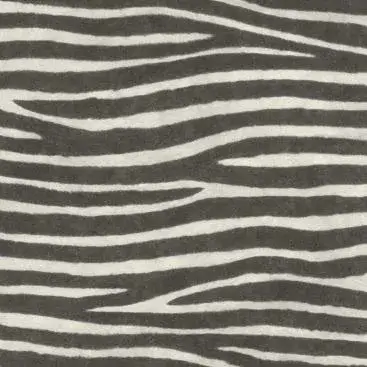 Watch Out for the Zebra Stripes! 751727