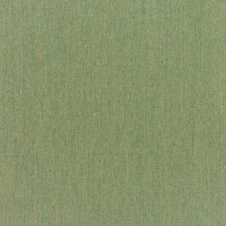 CANVAS FEM