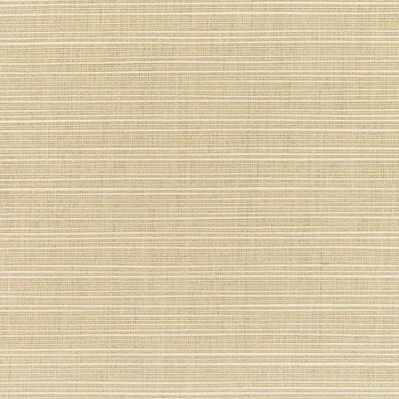 DUPIONE SAND