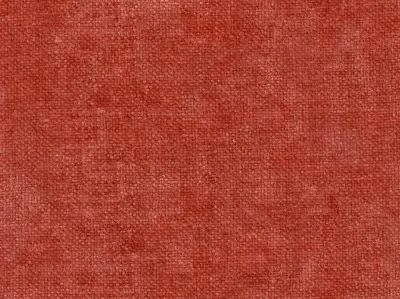 Villus 210403-5