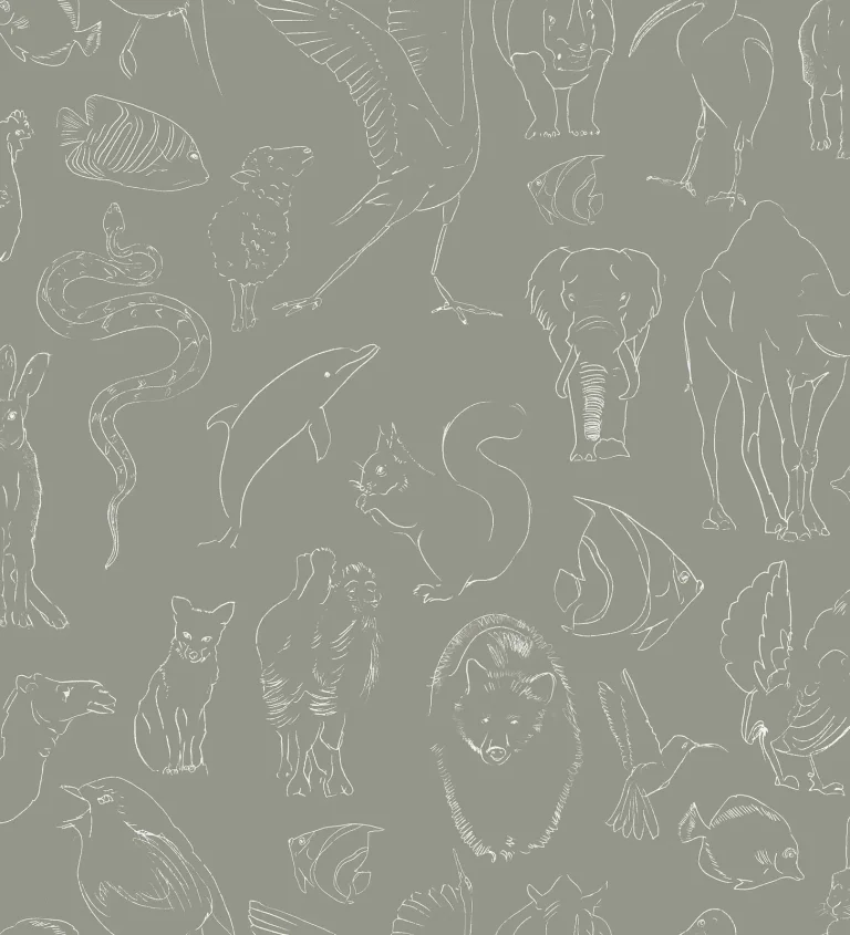 Zoology Candy — Ảnh 2