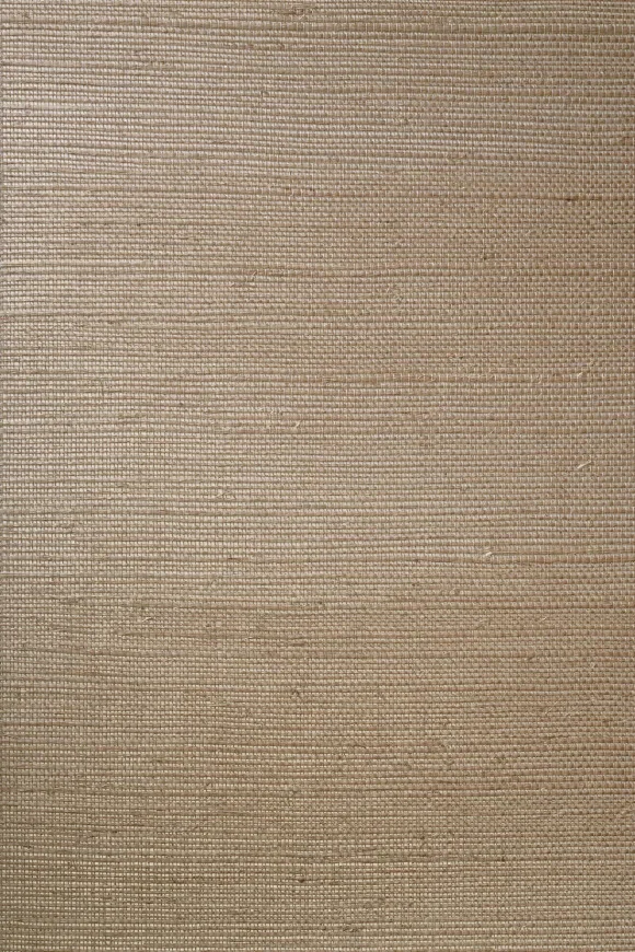 Line Beige - 80700C — Ảnh 2