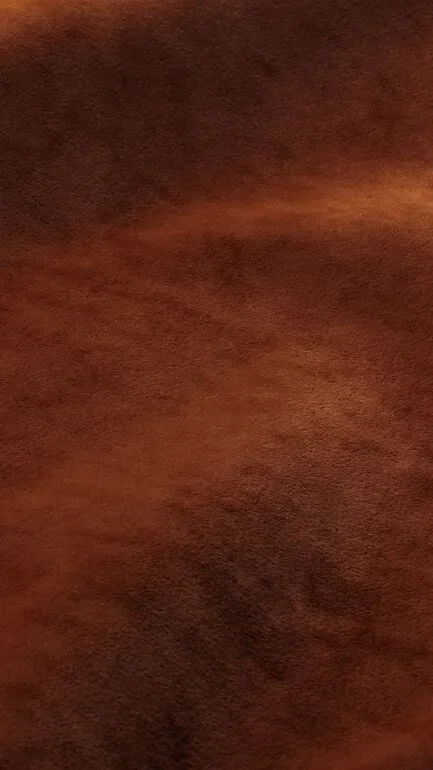 Bonario Amber Upholstery Fabric - 300