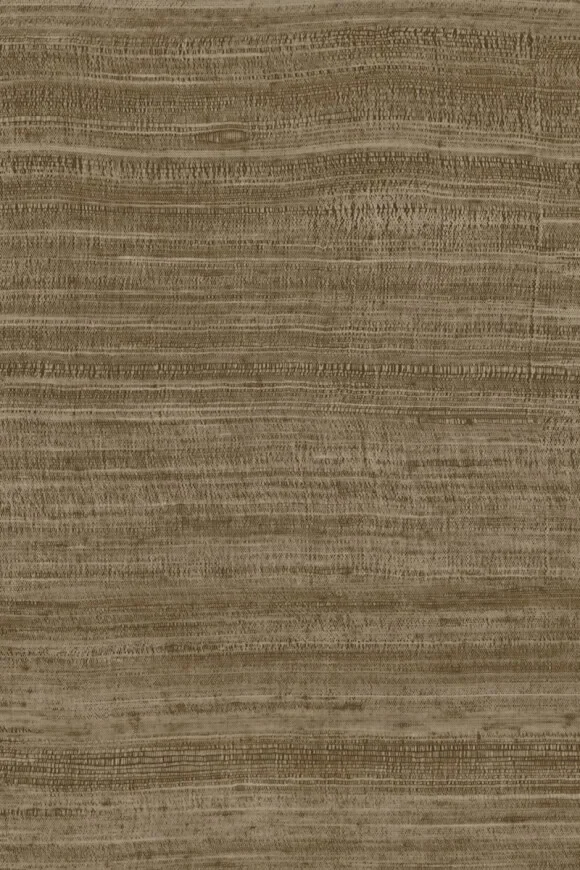 Tasar Bronze — Ảnh 2