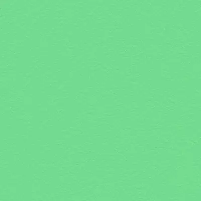 The Basic - Green Tone