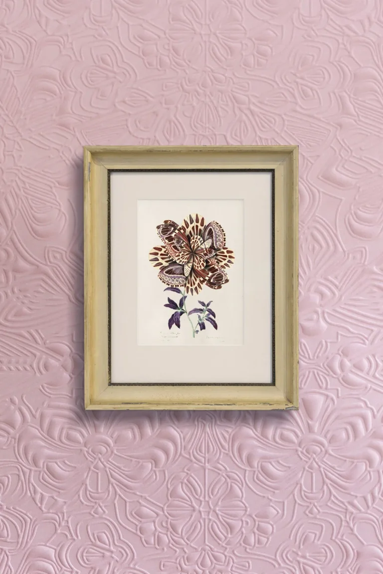 Mimic Moth Plaster — Ảnh 8
