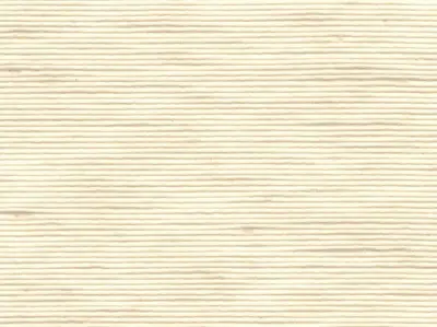 Stripe Sequin Weaving 20020721
