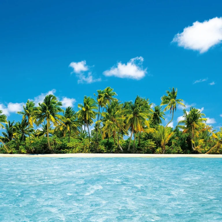 Maldive Dream - Wall Mural 5423 - 4 Panel - 192cm x 260cm — Ảnh 4