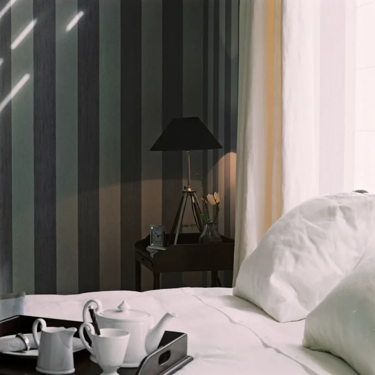 Stripe Orient Express - 40045 — Ảnh 5