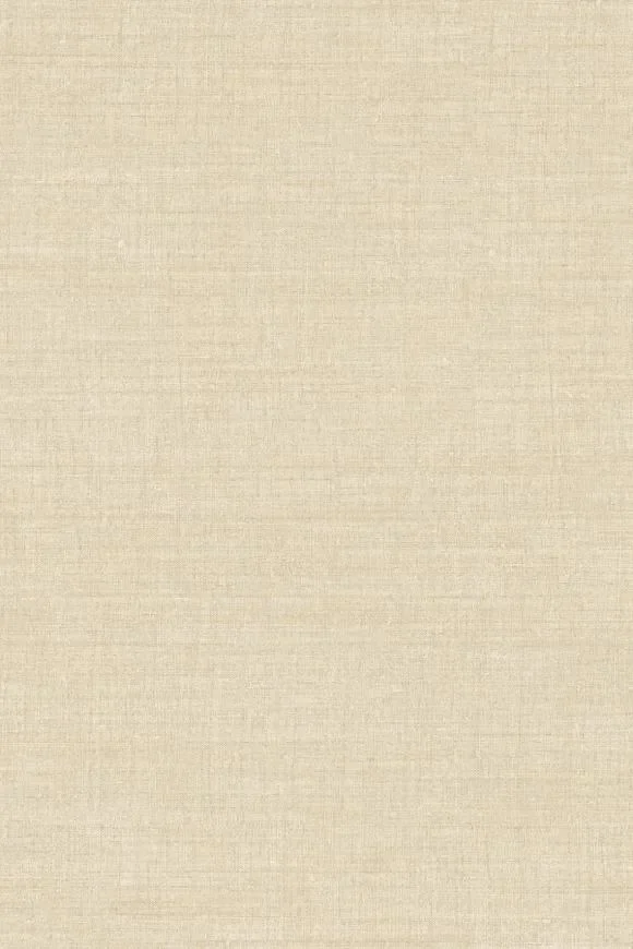 Bundi Ginger — Ảnh 2