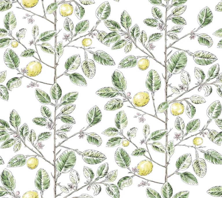 Limoncello Toile Wallpaper - Green — Ảnh 4