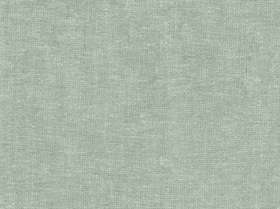 Villus 210403-7