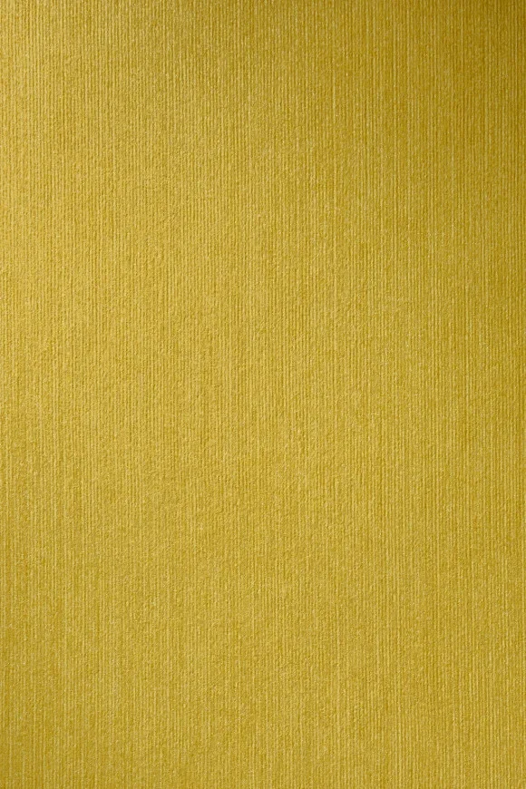 Temper Canary - 34512A — Ảnh 2