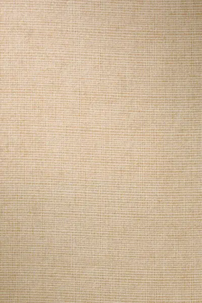 Tulle — Sand (73080B)