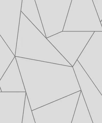 Nazca Wallpaper - White/Silver