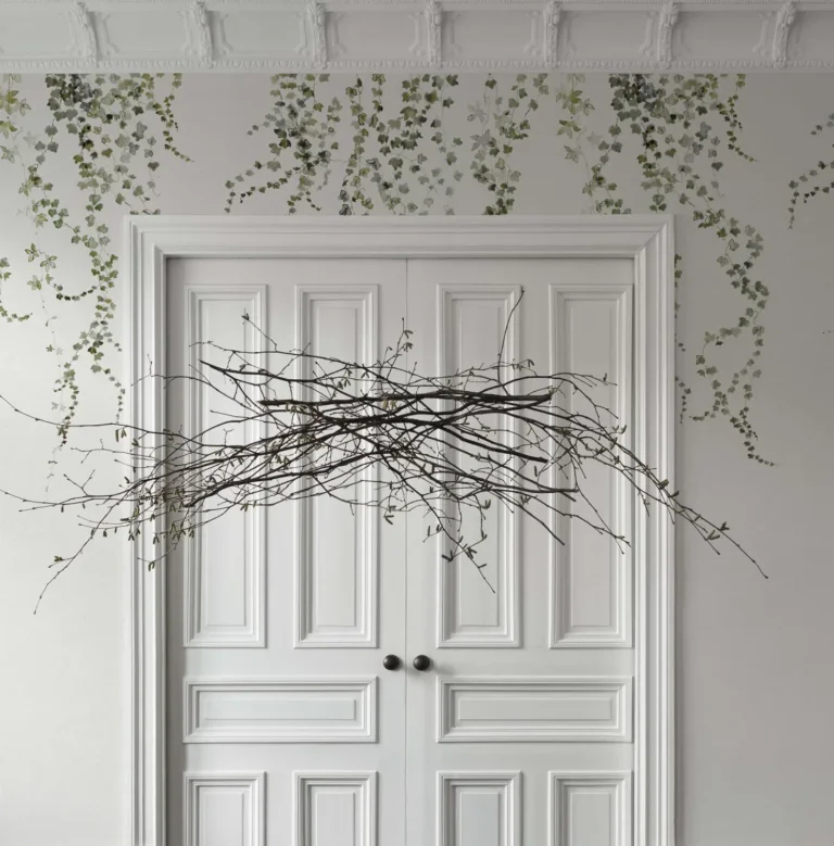 Aralia — Ảnh 5