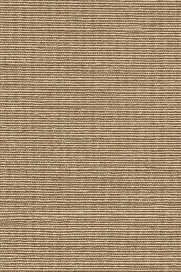Agave Nude — Ảnh 2