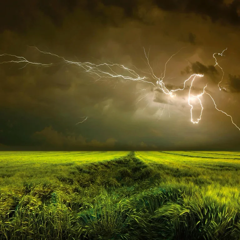 Lightning and Thunder - Wall Mural 5098 - 8 Panel - 384cm x 260cm — Image 2