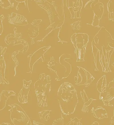 Zoology Curry