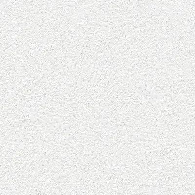 The Basic - White Beige Tone PT.01