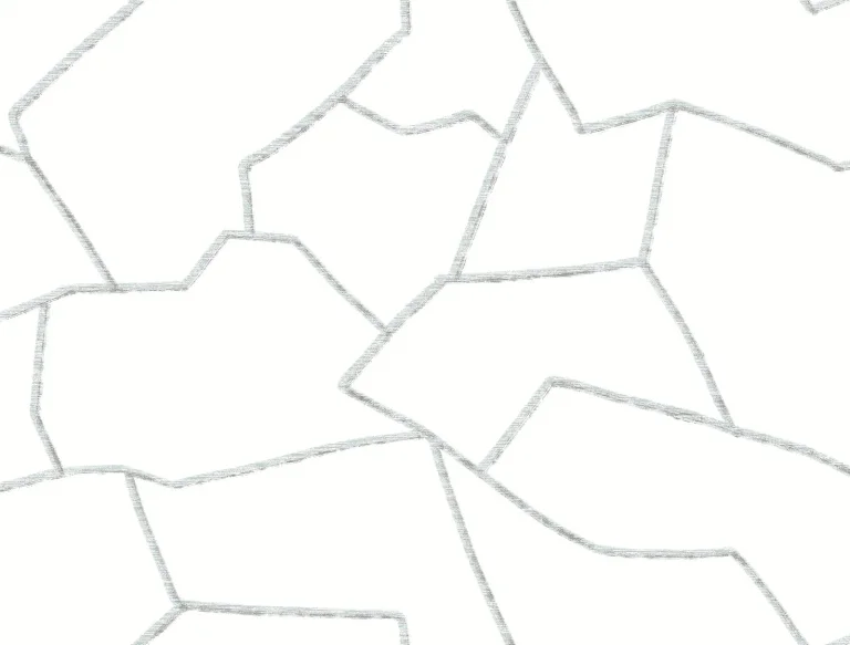 Suite Style Wallpaper - Dolphin — Ảnh 5