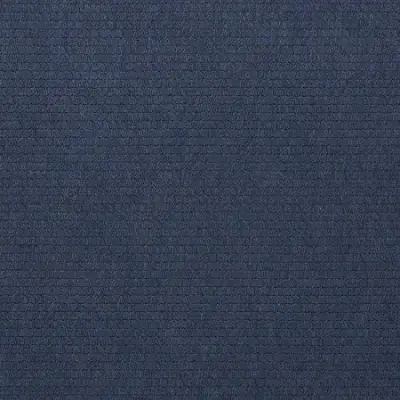 APEX INDIGO