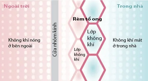 Rèm tổ ong Norman (Honeycomb Shades) — Ảnh 5