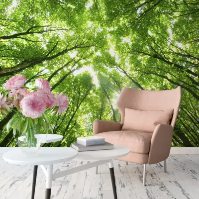 Sunny Forest - Wall Mural 5439 - Round - 144cm diameter