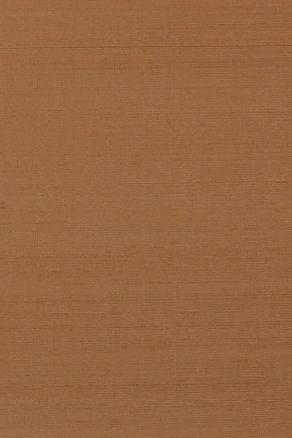 Papillon Hazel — Ảnh 2