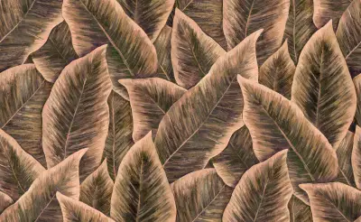 Bird Of Paradise — Blush