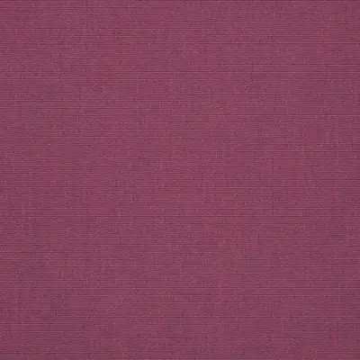 CANVAS IRIS