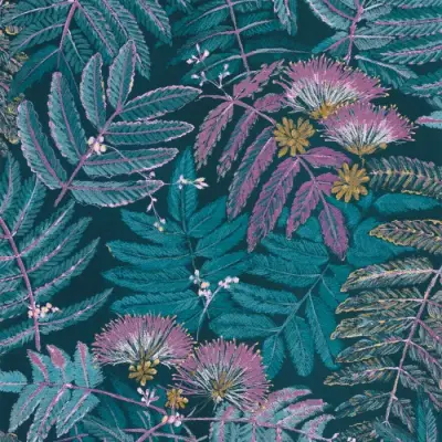 Botanica Albizia