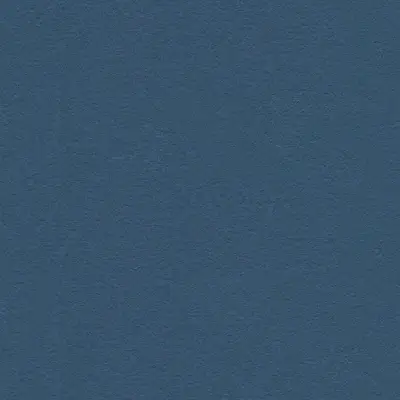 The Basic - Blue Tone