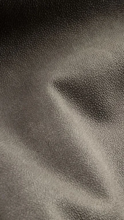 Bonario Gaucho Upholstery Fabric - 804