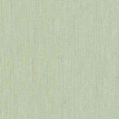 CANVAS MINT