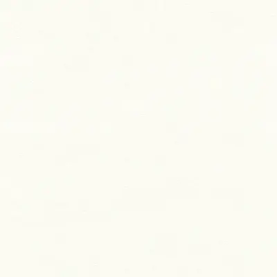 The Basic - White Beige Tone PT.02