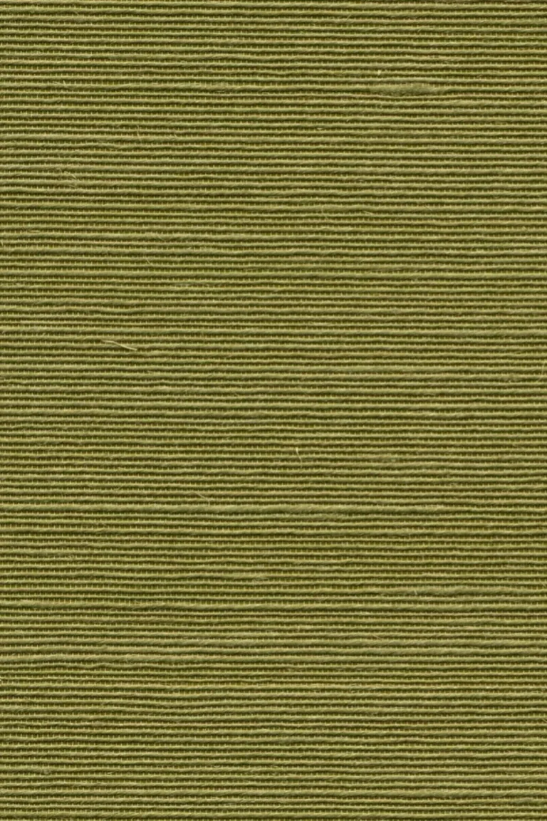 Agave Olive - 90531A — Ảnh 4