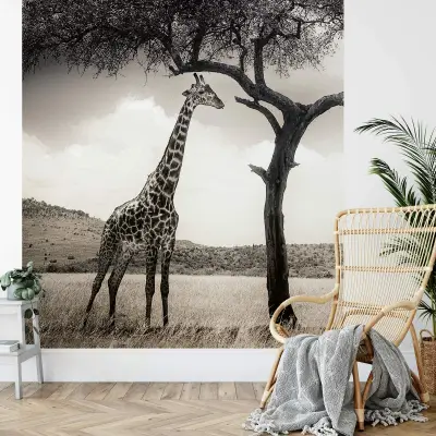 Giraffe Safari - Wall Mural 5084 - 4 Panel - 192cm x 260cm