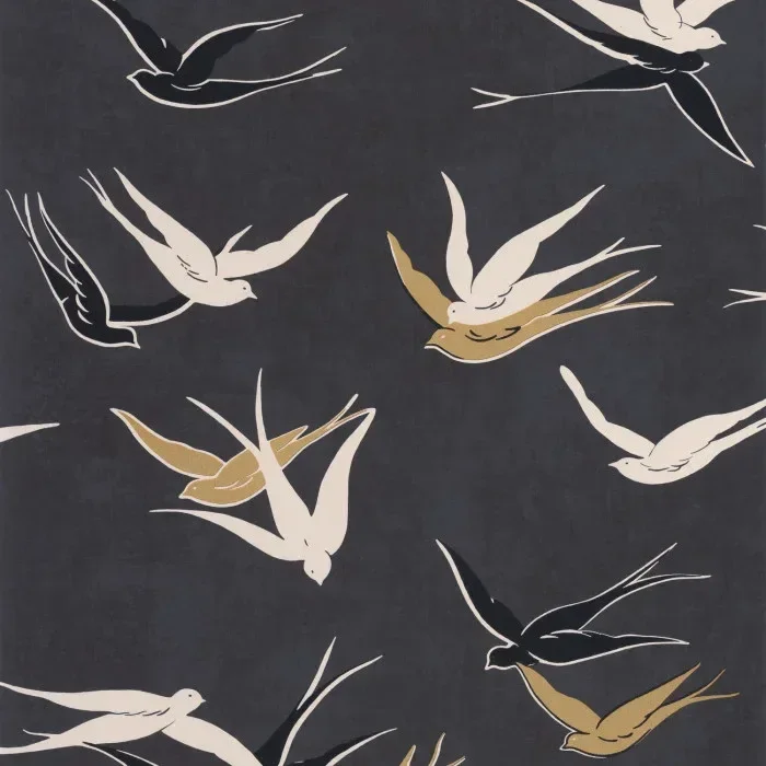 SWALLOW 88639595 — Ảnh 2