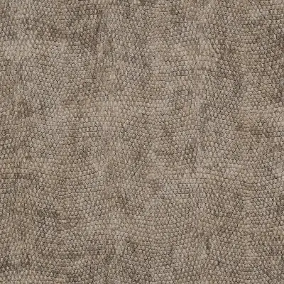 Vinyl Snakeskin