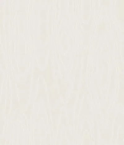Watered Silk S106 1009 — Image 2